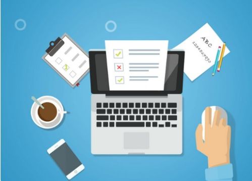 计算机国家二级考试通过率分析与解读